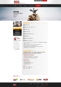 企業(yè)網(wǎng)站設計與網(wǎng)頁設計 構(gòu)建數(shù)字時代的品牌門戶